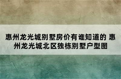 惠州龙光城别墅房价有谁知道的 惠州龙光城北区独栋别墅户型图